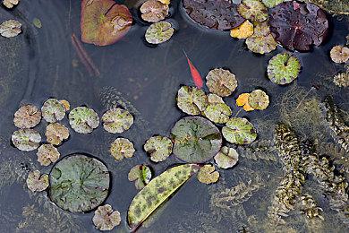 国产新写实主义视觉小说《龙栖》3月21日发售 取材于中国龙母民俗文化